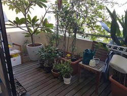 Allsworth Park (D10), Condominium #143500362